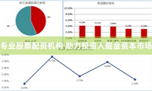 专业股票配资机构 助力投资人掘金资本市场